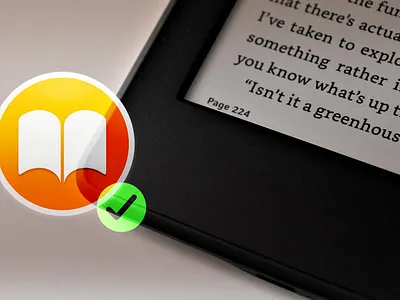 Accessible book with Adobe InDesign book graphic design wcag