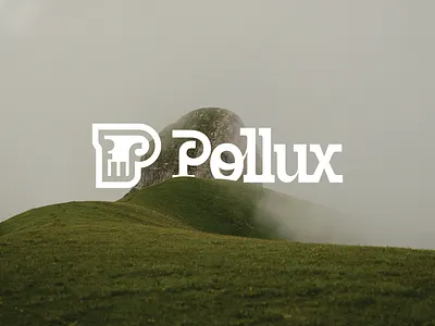 Pollux Brand Identity branding graphic design identity logo logo design