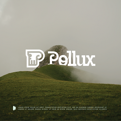 Pollux Brand Identity branding graphic design identity logo logo design