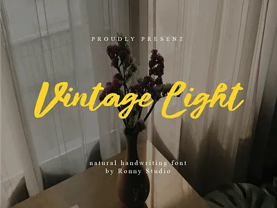 Vintage Light - Natural Handwriting Font font font duo compatible