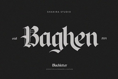 Introducing Baghen classy modern retro serif vintage