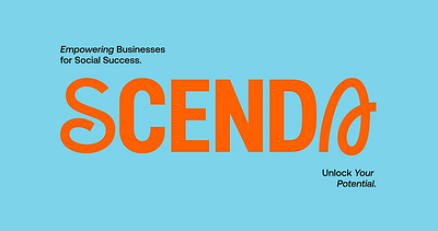 Scenda - Marketing Education | Brand Identity brand guidelines brand identity branding graphic design illustration