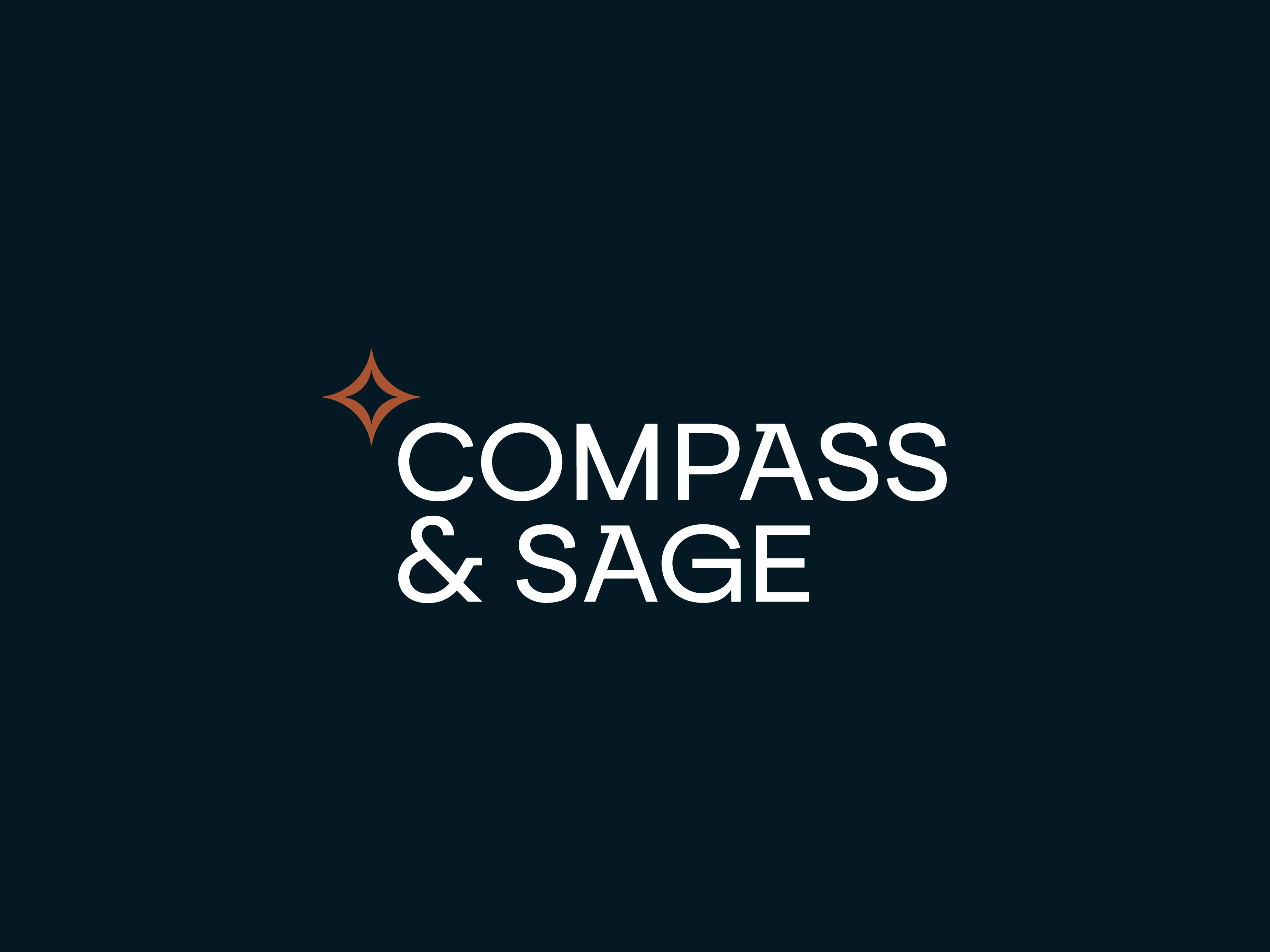 Travel Agency Logo design and Branding | Compass & Sage airplane logo brand design brand ideneity branding north star logo plane logo star logo tour logo tourism logo travel travel agency travel app travel logo travel logo design trip