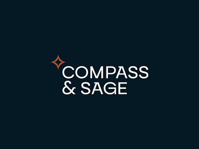 Travel Agency Logo design and Branding | Compass & Sage airplane logo brand design brand ideneity branding north star logo plane logo star logo tour logo tourism logo travel travel agency travel app travel logo travel logo design trip