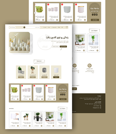 Ui Goldonma animation dailyui figma graphic design ui ux