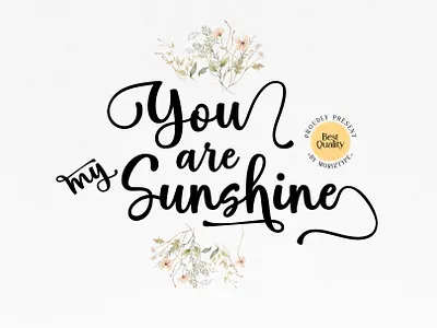 Hello Spring Script Font illustrations