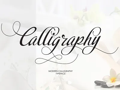Calligraphy Script illustrations