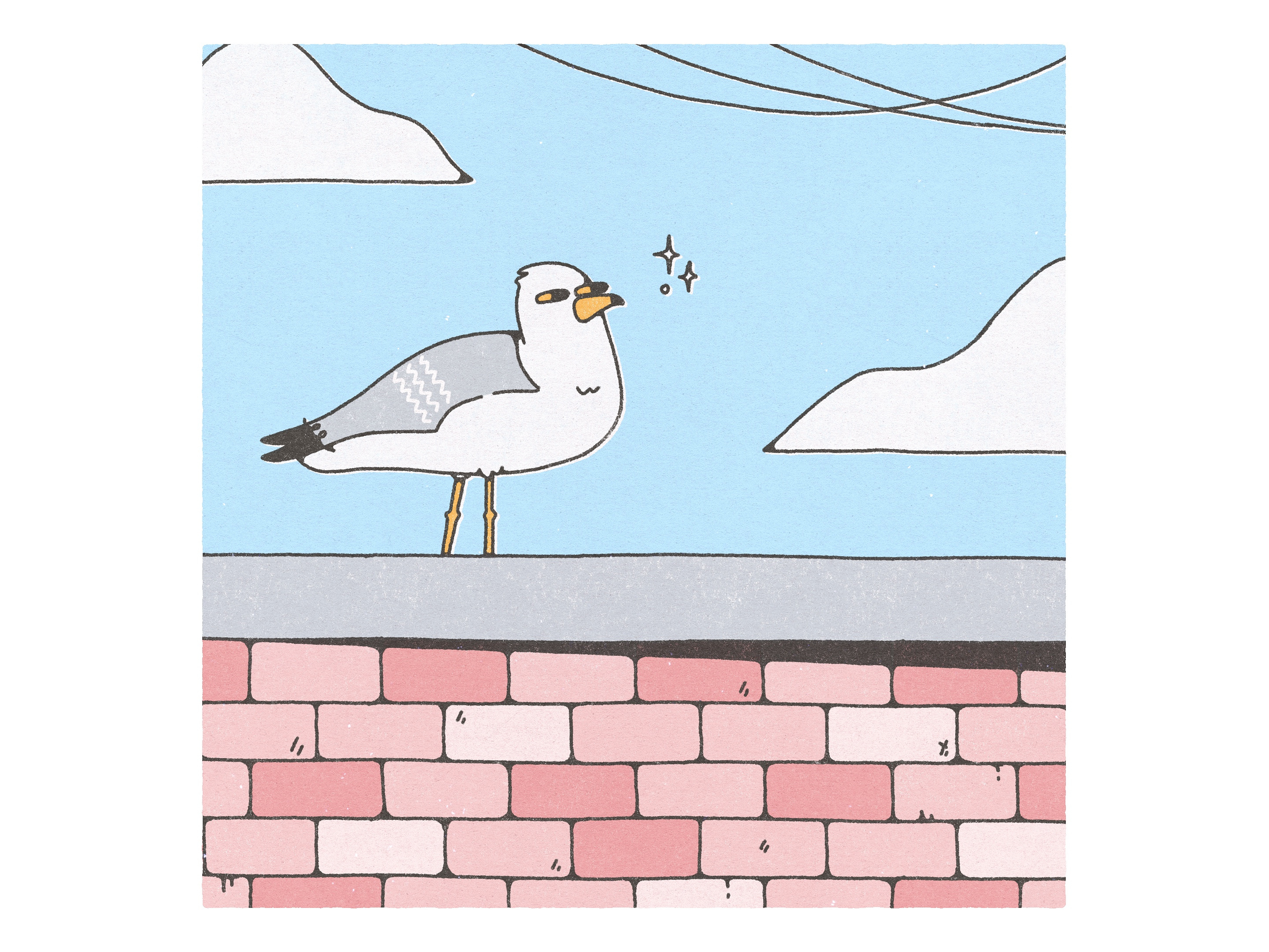 pilot animal art bird bounce dribbble graphic illustration seagull shot texture