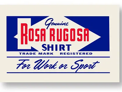 Rosa Rugosa Branding and Labels apparel branding design graphic design hand painted mattymatheson print rosa rugosa woven label