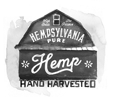 Hempsylvania Pure Hemp branding graphic design hand done hand painted illustration logo print