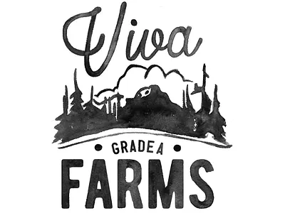 Viva Farms branding design graphic design hand done hand painted illustration logo print