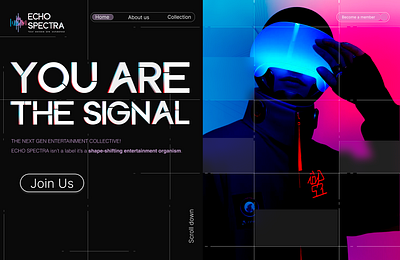 Eco Spectra Branding Design branding graphic design logo motion graphics ui