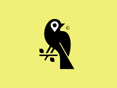 Bird Logo app branding design graphic design illustration logo typography ui ux vector