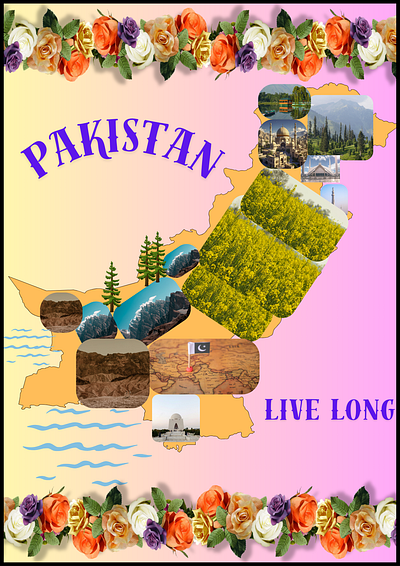 Map of Pakistan, Wall Art graphic design illustration poster of pakistan wall art