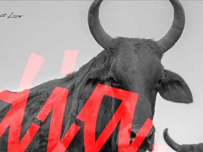 Design advisor & mentor advisor design consultancy design teacher mentor