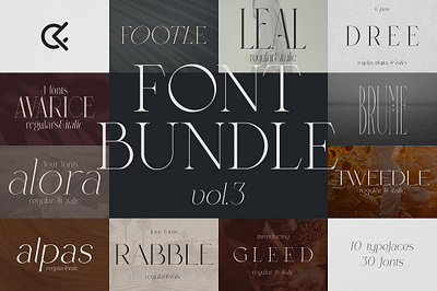 SALE! Font Bundle Vol.3 - 30 fonts branding canva collection display feminine fonts font bundle font collection futuristic scifi headline monogram retro vintage wedding invitation