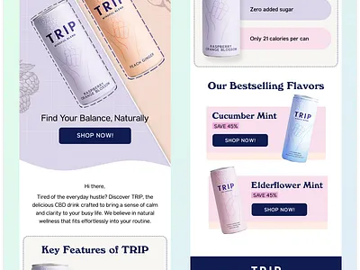 Figma email design | Ecommerce brand ecommerce ecommerce brand email design email template figma figma email design klaviyo klaviyo email design newsletter