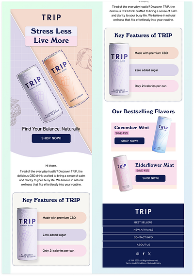 Figma email design | Ecommerce brand ecommerce ecommerce brand email design email template figma figma email design klaviyo klaviyo email design newsletter