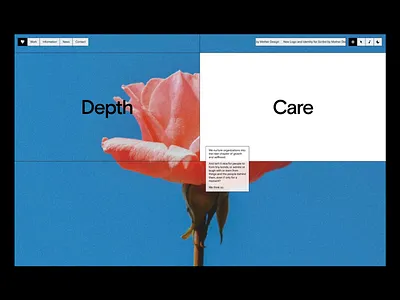 Depth & Care: Evocative Brand Landing Page art direction clean layout colorful design emotional design home page landing page modern ui ui ui design ux ux design uxui web web design website website design website home page