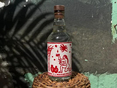 VICHE artisan botanical branding classic colombia cosmic design graphic design identitybrand illustration liquor logo nature plants stars universe vector