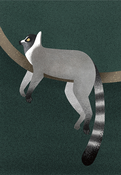 Lemurs animal digital art graphic design illustration photoshop