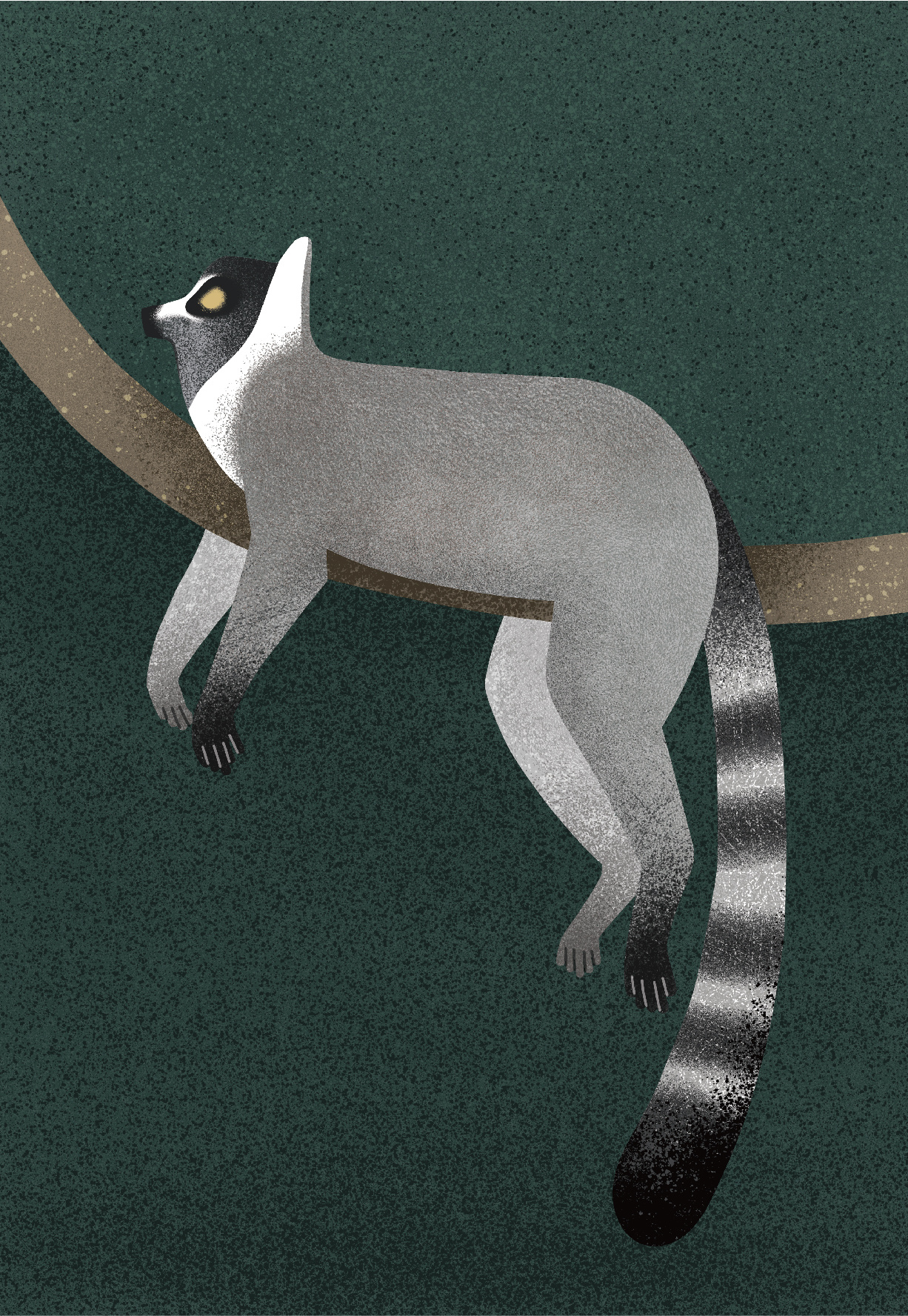 Example of Simple Animal Illustration