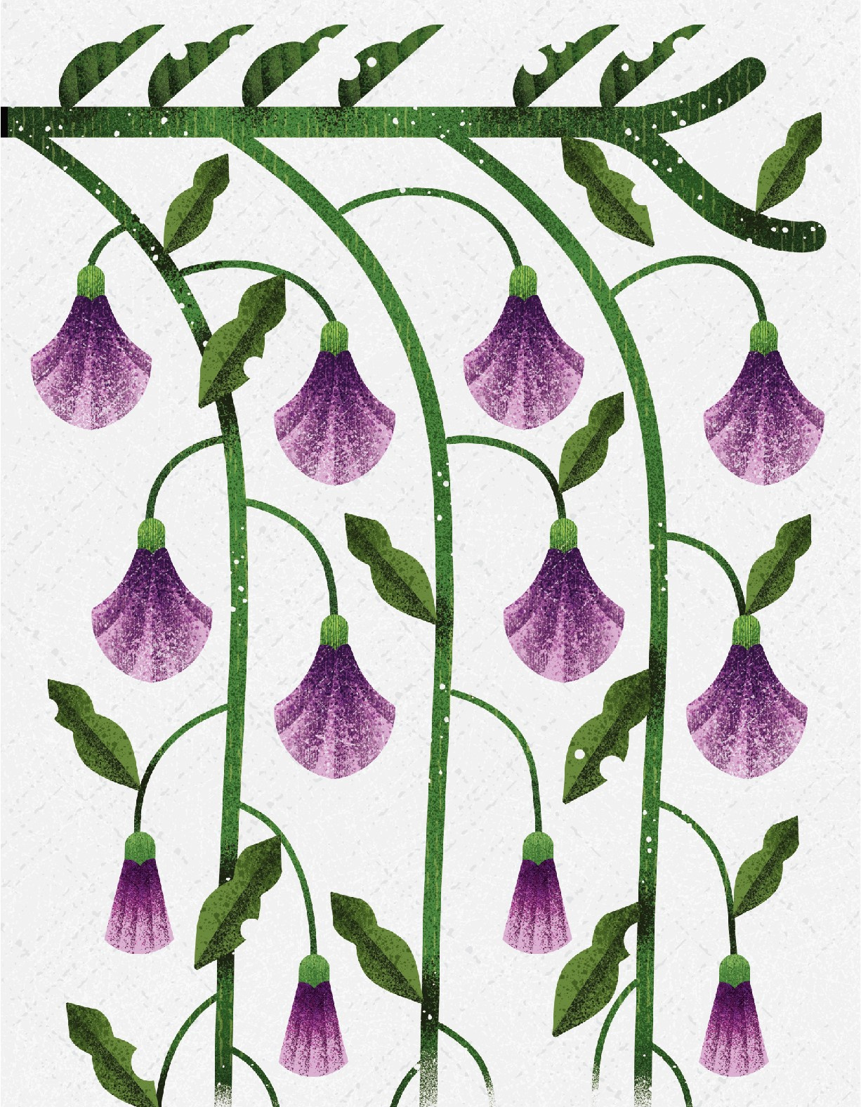 Flowers digital art graphic design illustration photoshop