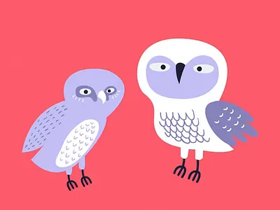 Owls animation illustration ui