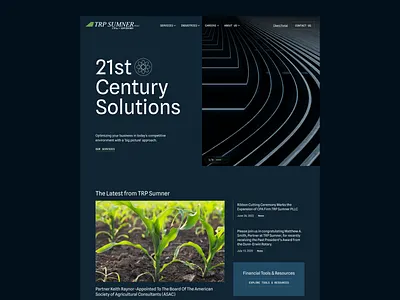 CPA Firm Website cpa website financial services web design website design