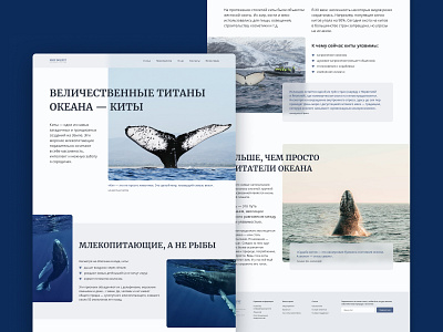 Whale Article UI — Eco Magazine Design wildlife