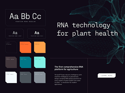 Terrana Biosciences Visual Identity bentobox brand identity branding color palette graphic design minimal modular rna tech tech brand type styles typography visual identity
