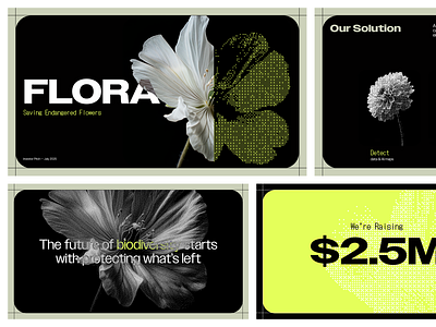 Pitch deck design ai deck artificial intelligence deck branding digital design identity identity branding logo logotype minimal power point saas pitch deck slides tech tech pitch deck