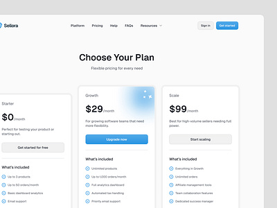 Pricing Section dashboard design landing page design lemon squeezy payment platform pricing section product design saas design saas management platform stripe ui design ux design web design