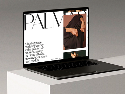 PALM Modeling Agency — Inclusive Web Design agency design editorial design modeling agency palm photography portfolio website responsive design slide typo typography ui ui design ux design uxui web design