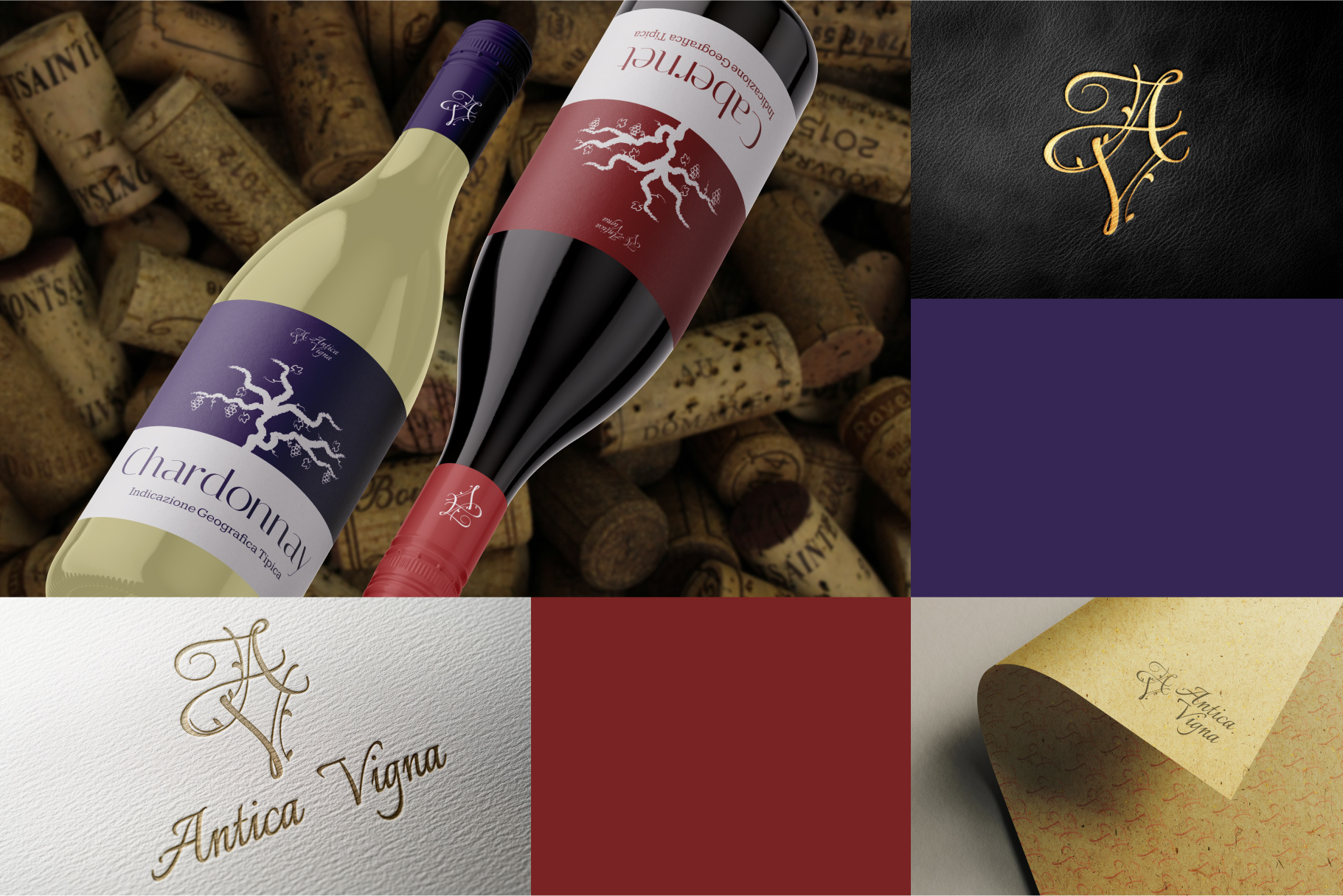 Antica Vigna winery branding graphic design logo winery