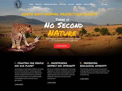NEAPS Organization - nonprofit website design and development charity website elementor website ngo website non profit website nonprofit website nonprofit website design website development wordpress website