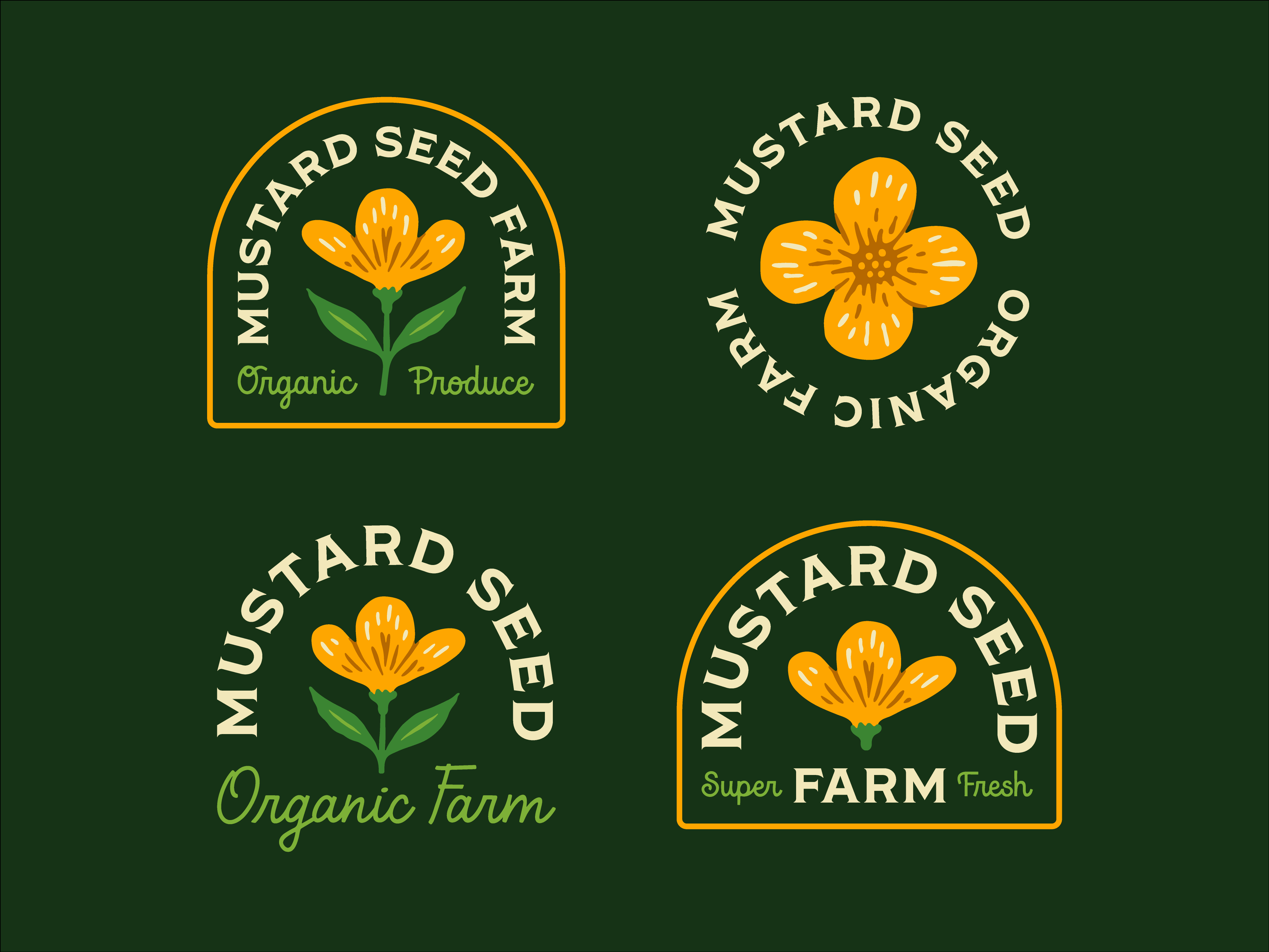 Mustard Seed Farm Branding brand branding farm flower illustration logo mustard organic seed