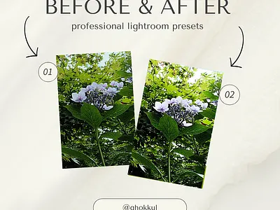 First Presets Showcase