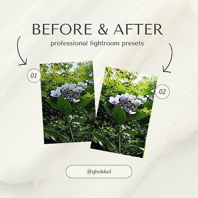 First Presets Showcase