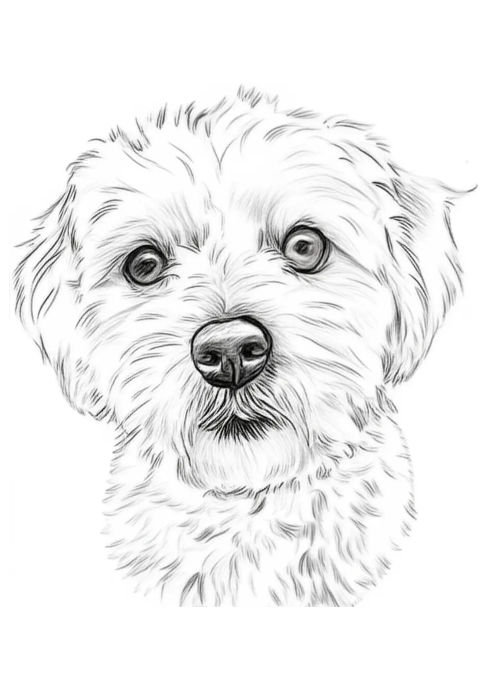 Example of Custom Pencil Drawing