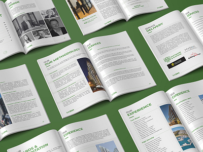 BMA - Brochure Design book design brochure design flyer graphic design illustration logo