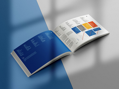 Sizel Dimensions - Brand Guidelines & Identity brand guidelines identity branding brochure graphic design