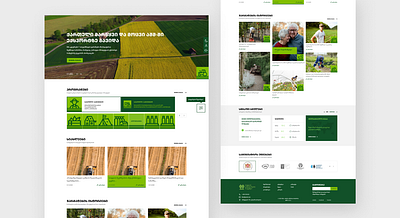 Rural Development Agency of Georgia (Government site) rda.gov.ge georgia mockup rural ui ux village web design