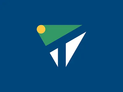 Tempo Tennis design icon illustration logo typography логотип типография