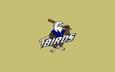Tbirds Baseball Sports Mascot Logo Design baseball graphic design illustration logo logo design mascot mascot logo