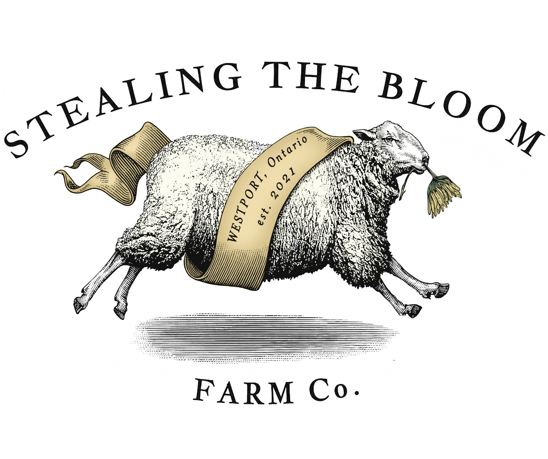 Stealing the Bloom Logo created by Steven Noble artwork brand branding design engraving etching icon illustration line art logo logomark scratchboard steven noble woodcut