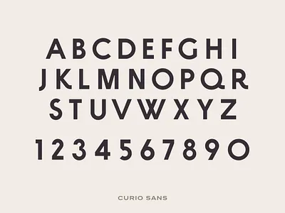 The Curio Collective Brand Font branding design font graphic design logo sans serif type typography vector
