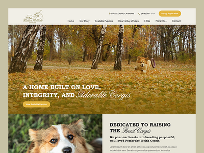 Hidden Hillside Corgis // Web Design adoption corgi dog dogs pet puppies puppy web design welsh corgi