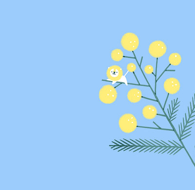 Mimosa branch character flower fluffy illustration lion metaphor mimosa procreate spring texture