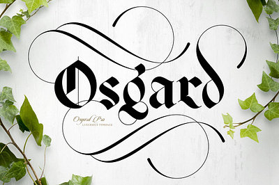 Osgard Pro Font blackletter bold branding bundle photoshop didone editorial family fashion fonts gothic logo osgard pro font post serif stencil